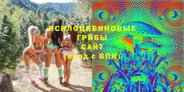 spice Карпинск