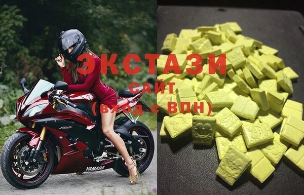 стафф Алексин