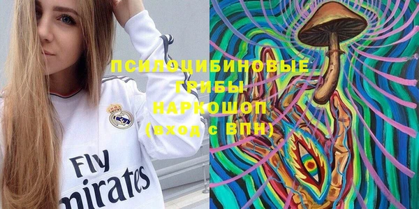 мяу мяу мука Алзамай