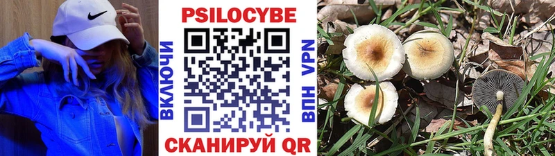 Псилоцибиновые грибы Psilocybe  Артём 